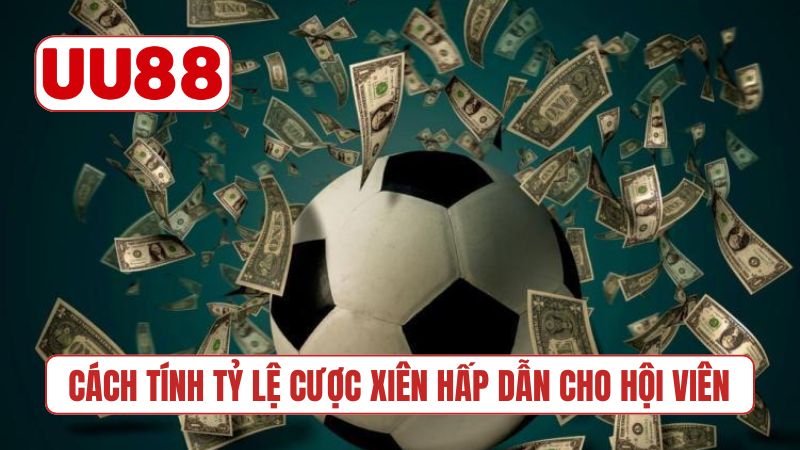 Cách tính tỷ lệ cược xiên hấp dẫn cho hội viên