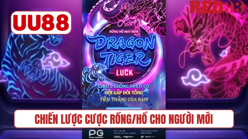 Chiến lược cược Rồng/Hổ cho người mới